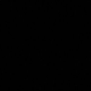 Meet your Posher, Darius